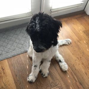 Meet your Posher, Chloe